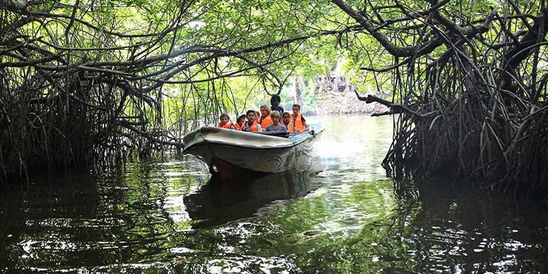 Madu River Boat Safari 